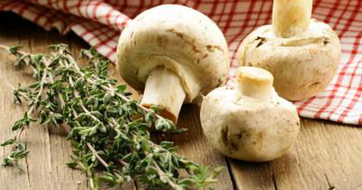 Die gesundheitlichen Vorteile von Button Mushrooms
