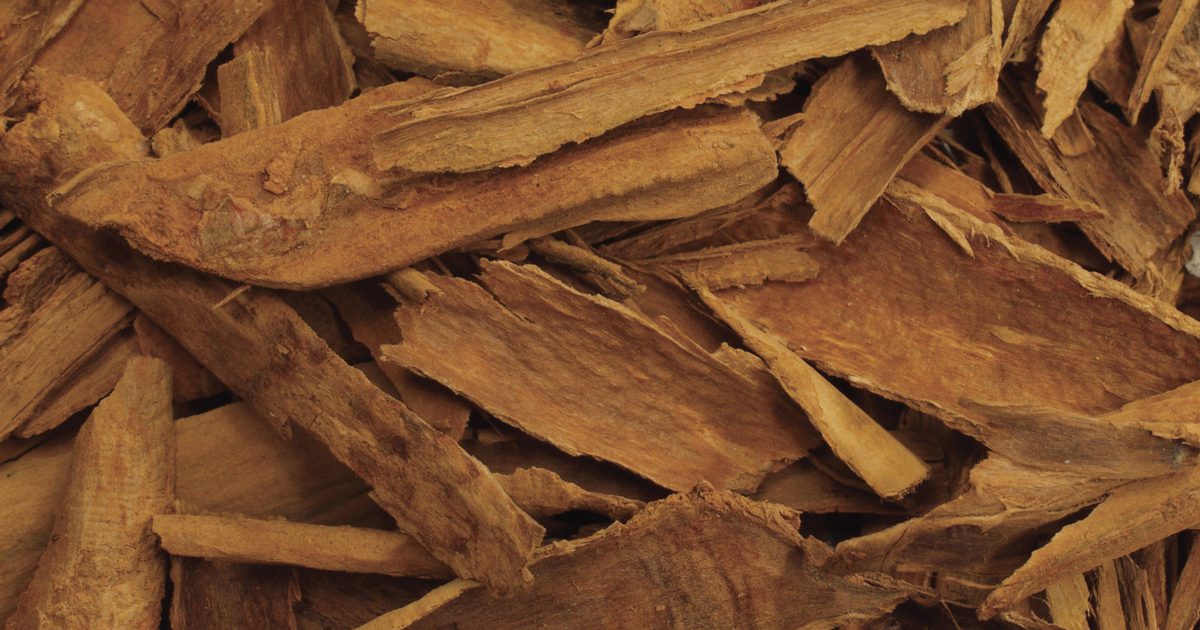 Výhody pre zdravie Ceylon vs. Cassia Cinnamon