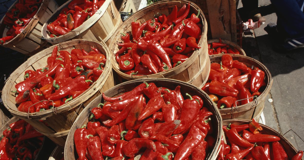 Sundhedsmæssige fordele ved Hot Peppers