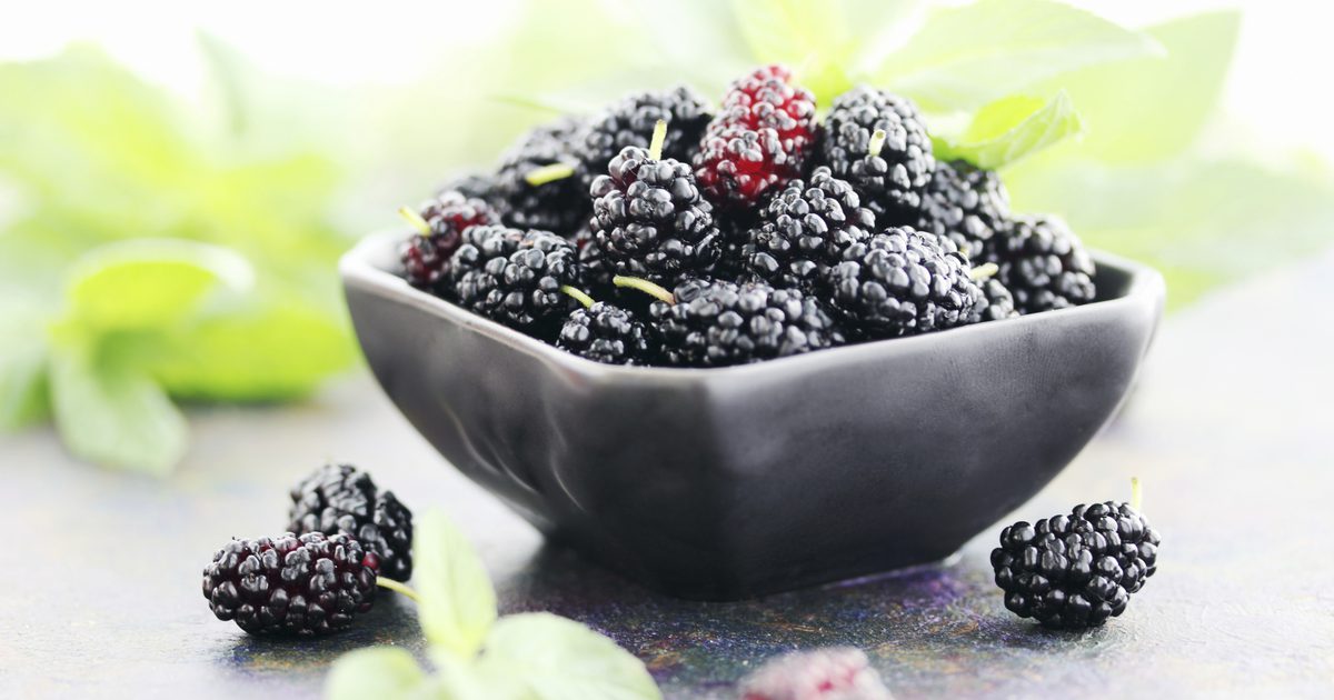 Sundhedsmæssige fordele ved Mulberry