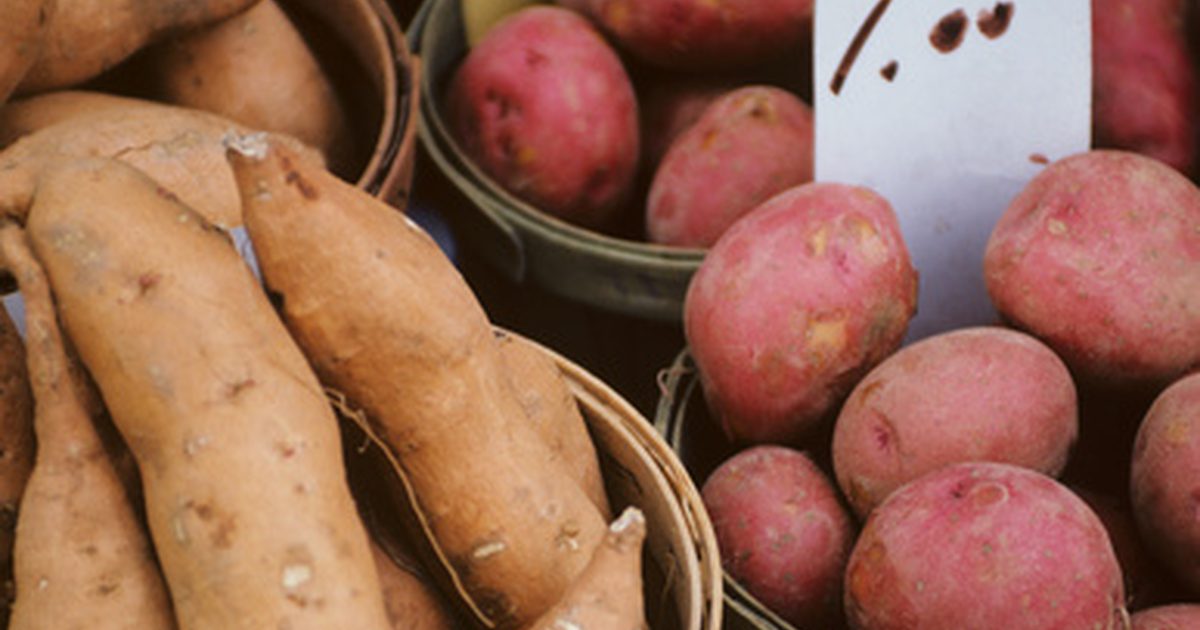 Zdravá přínosy brambor, cibule a česneku