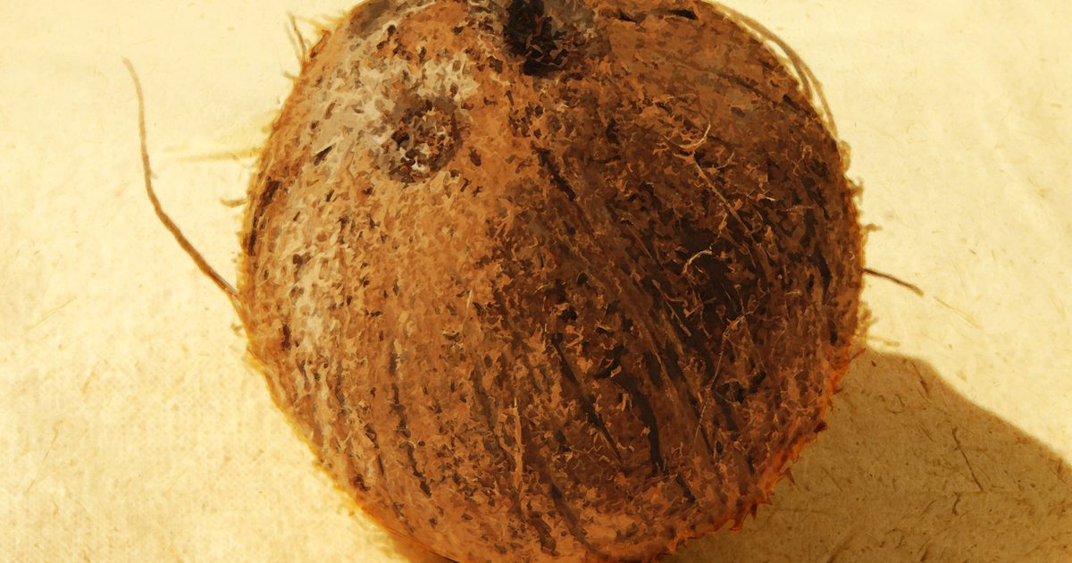 Helsefare for kokosnøttolje