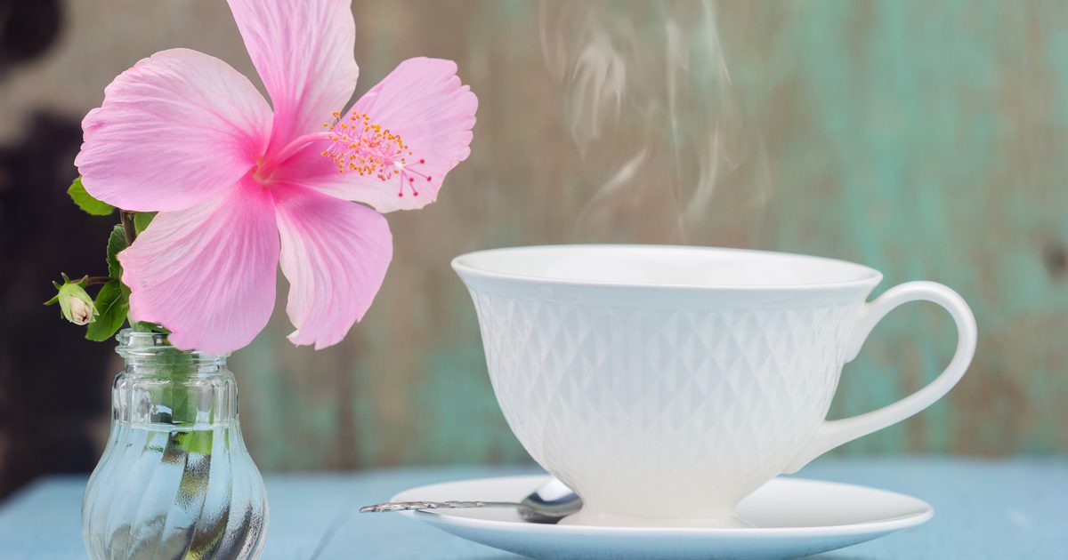 En Hibiscus Tea Allergi
