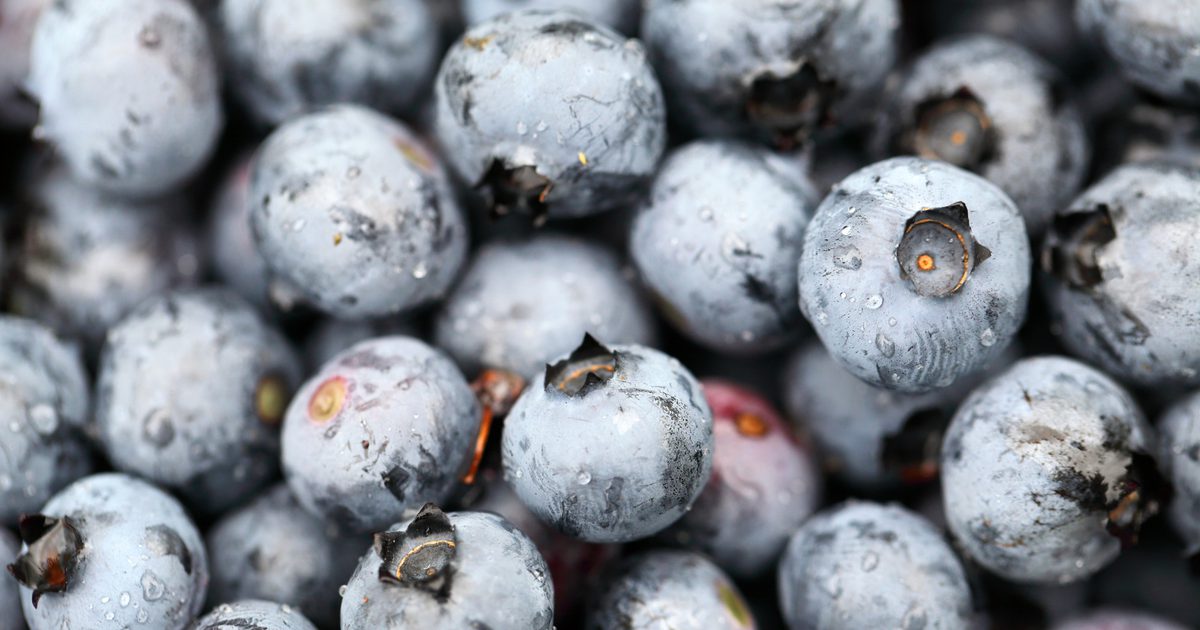 Hvor mange kalorier findes i blåbær?