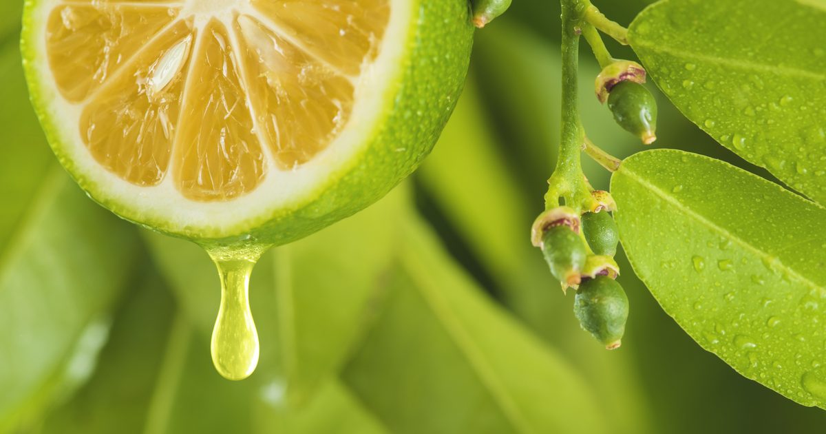 Hvor mange kalorier findes i frisk citronsaft?