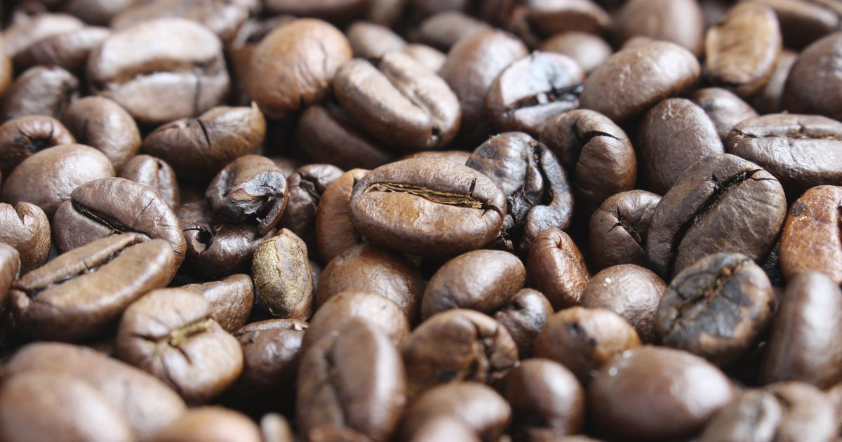 Hvor mye koffein er i en kaffebønne?