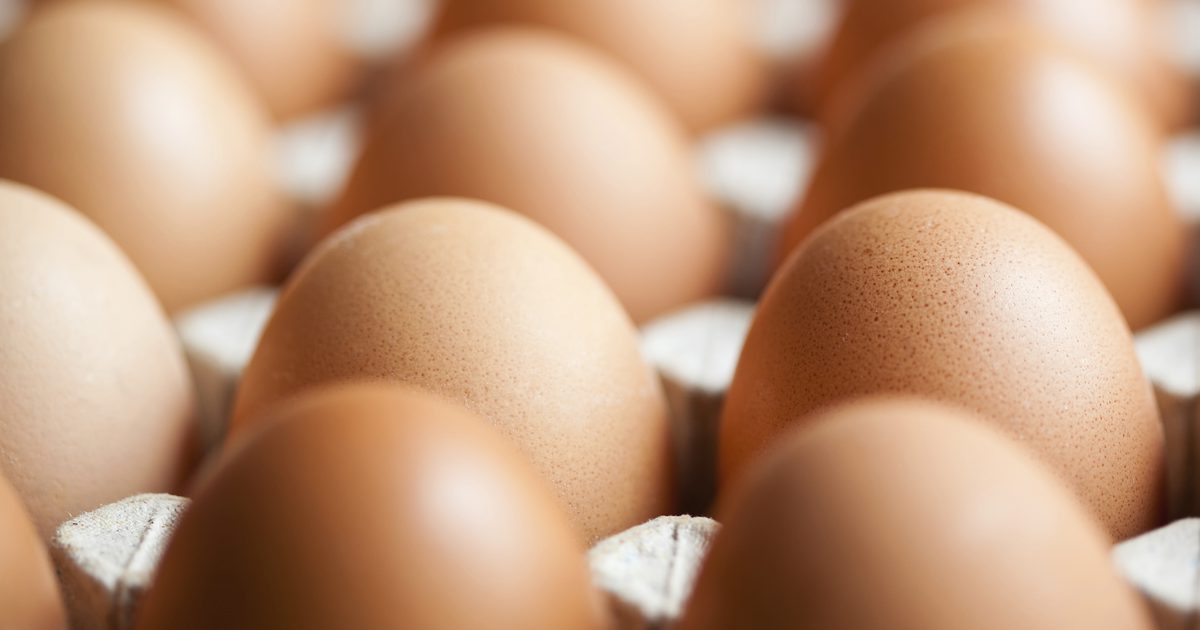 Hvor meget Protein er i Æggeblommen vs Egget Hvid?
