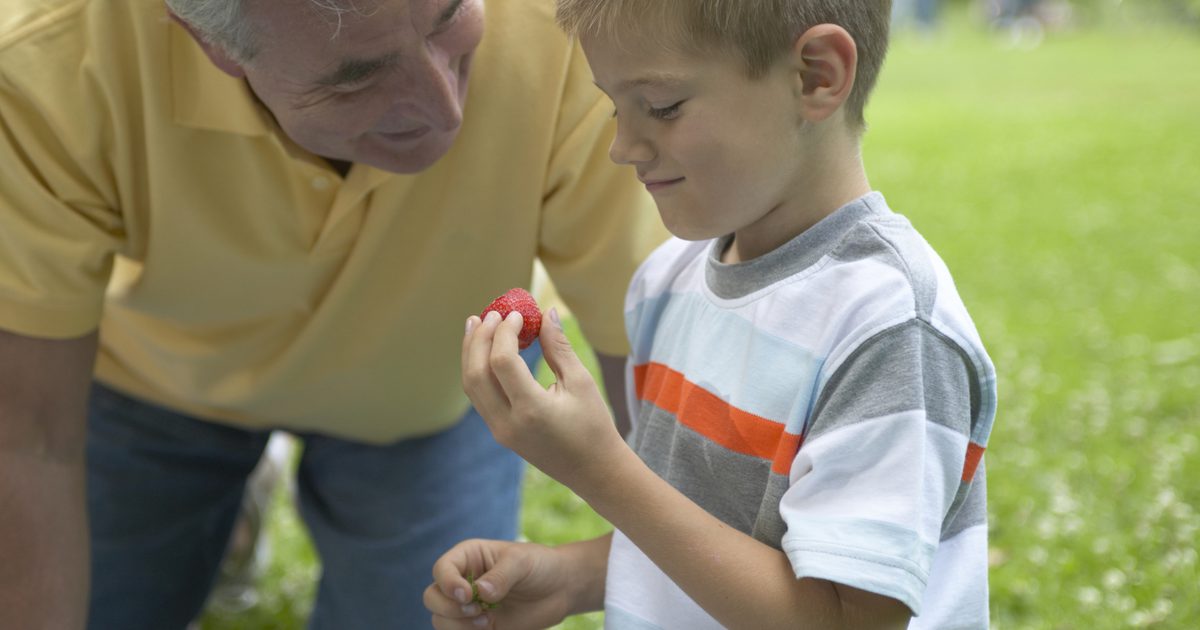 बच्चों के स्ट्रॉबेरी से पहले कितना पुराना हो सकता है?