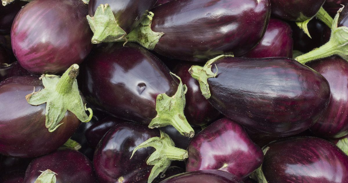 Hoe aubergine schijfjes met olijfolie en zout te bakken