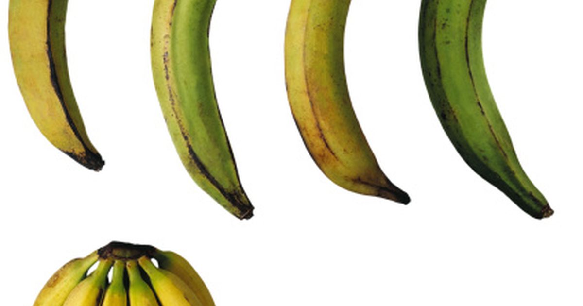 Jak pečeme plantain nebo banán