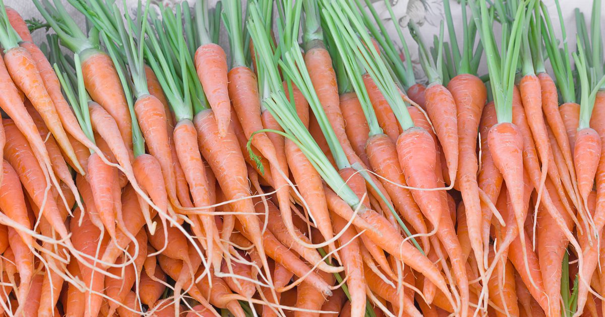 Wie man Karotten in ein gesundes Getränk mischt