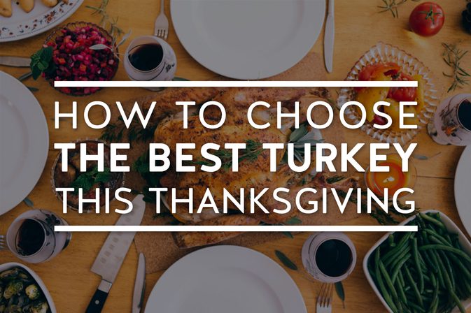 كيفية اختيار أفضل تركيا هذا عيد الشكر