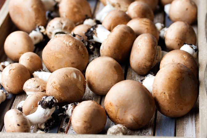 Wie man Baby Portobello Pilze in einem Ofen kocht