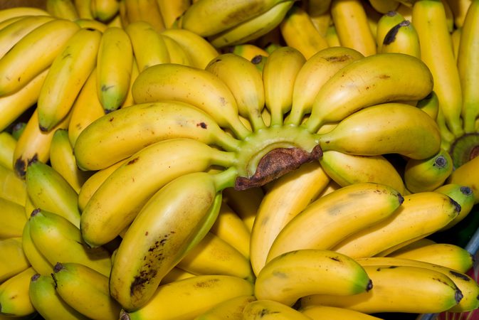 Wie man eine Burro-Banane kocht