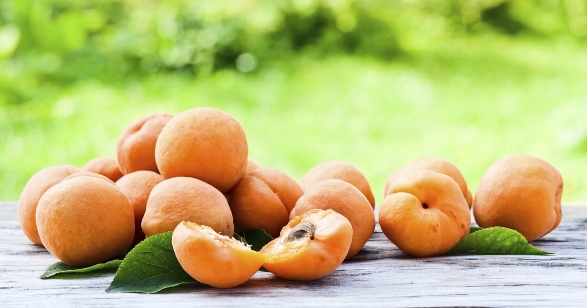 Как приготовить свежие абрикосы