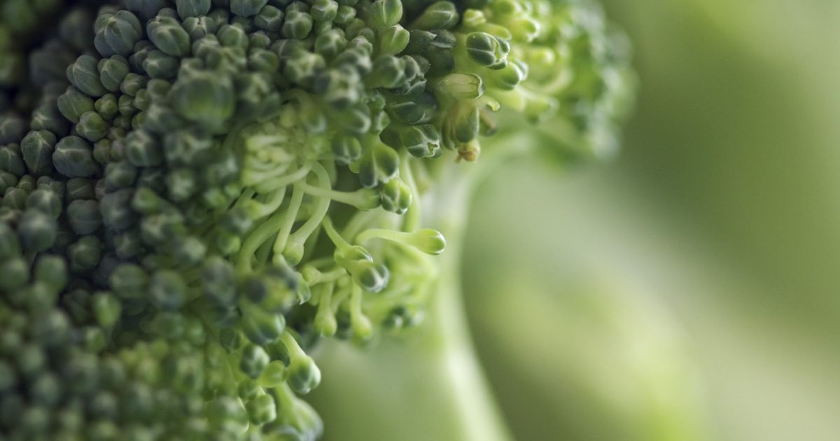 Sådan koges frisk broccoli for at holde dens næringsstoffer