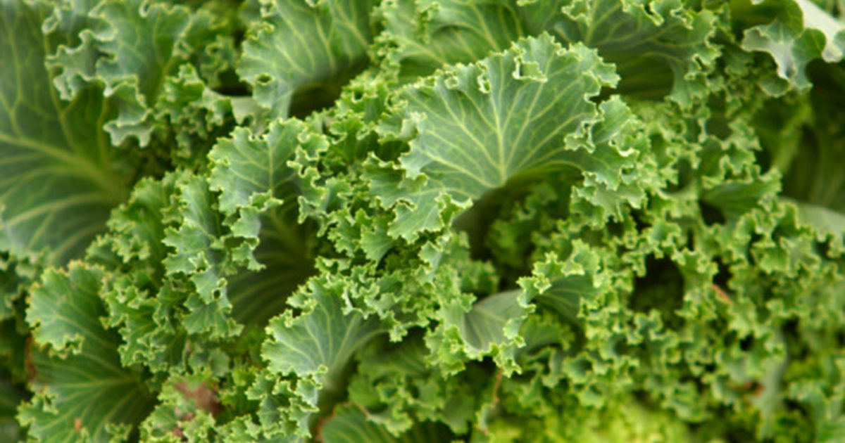 Ako variť Kale v mikrovlnnej rúre
