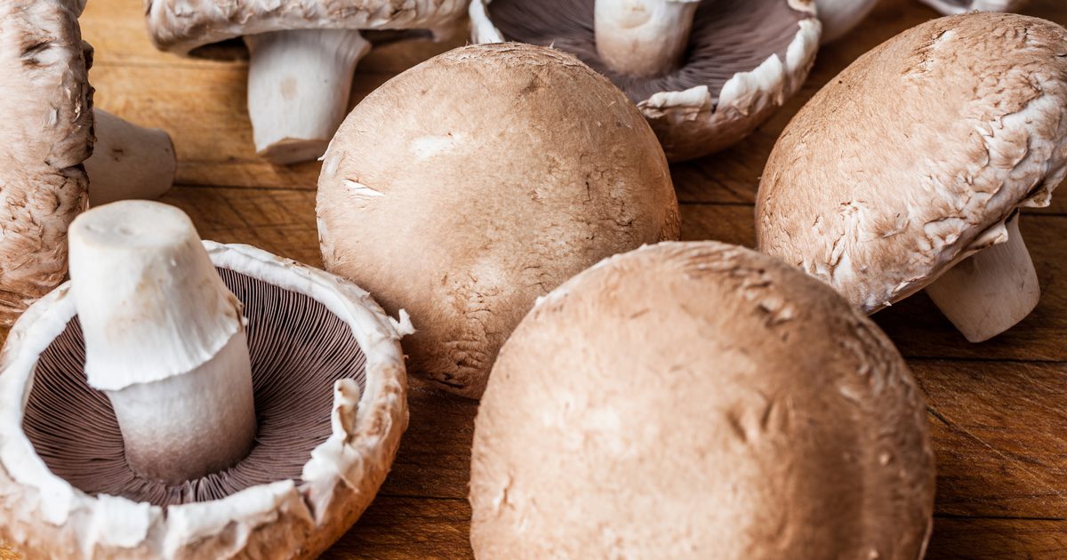 Sådan koges store brune svampe