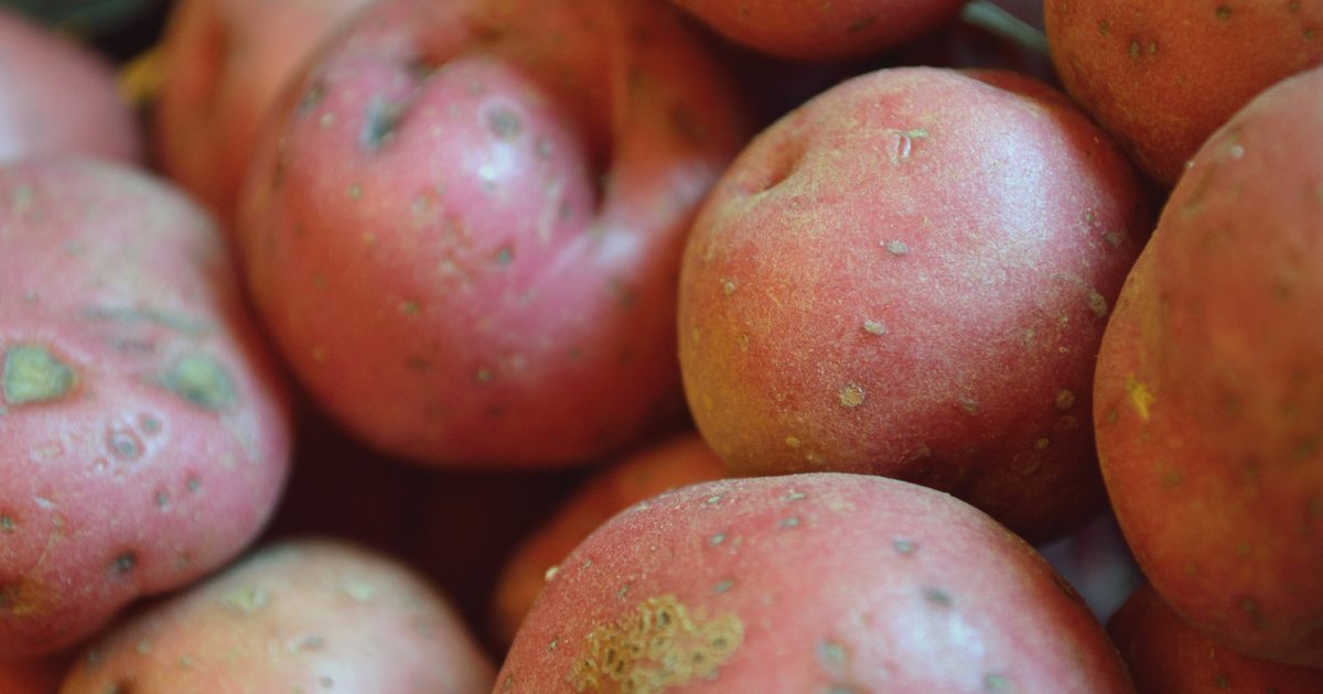 Jak gotować małe czerwone ziemniaki