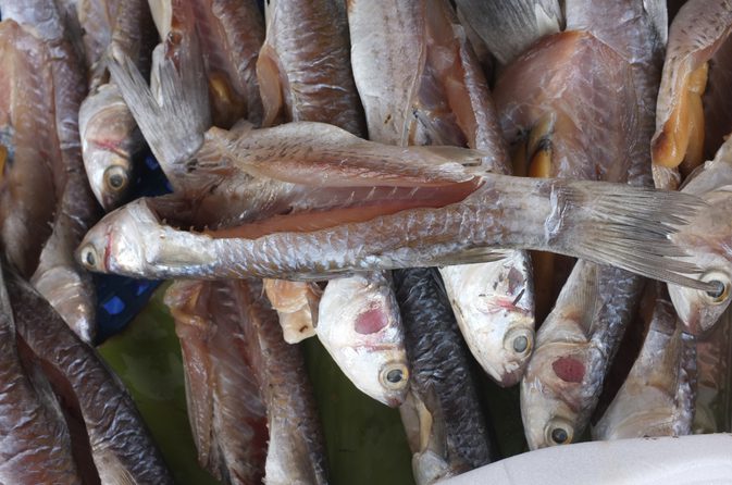 Ako variť soľ makrely jamajský štýl