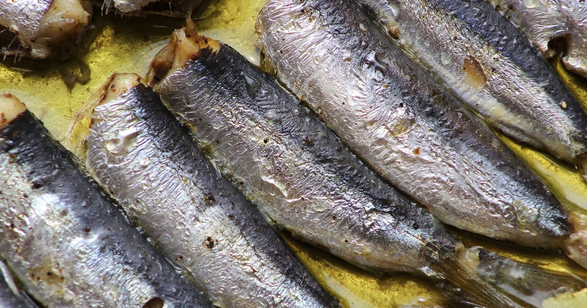 Kako kuhati sardine v pečici