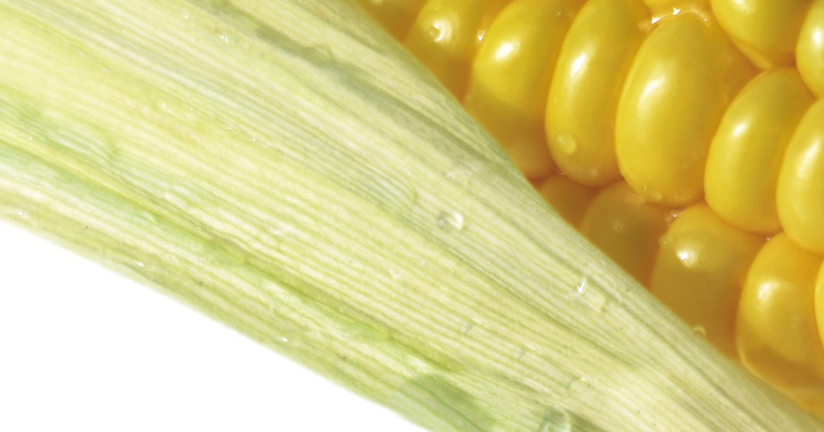 Hvordan man spiser rå majs på cob
