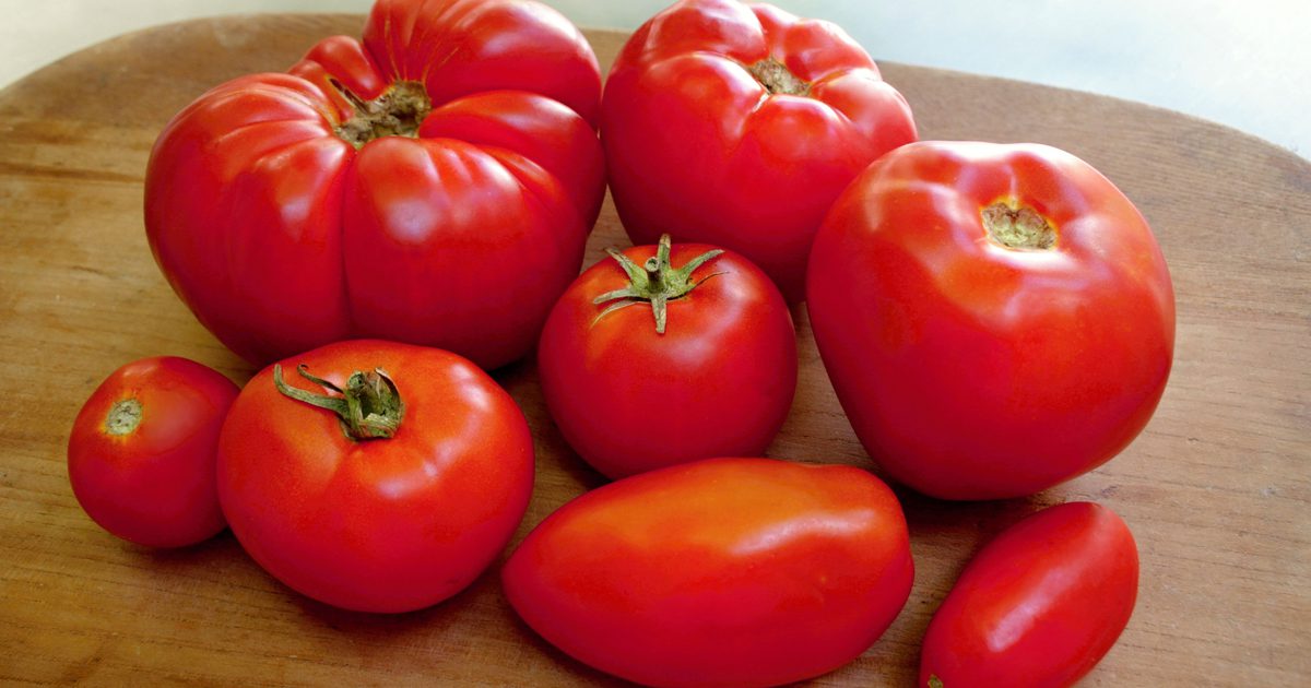 Wie man frische Tomaten für Tomatensoße zubereitet