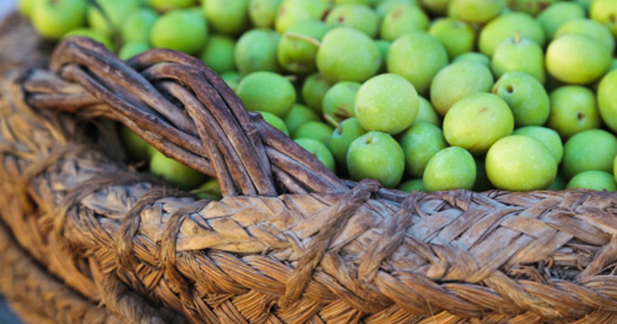 Jak používat olivový olej k léčbě akné