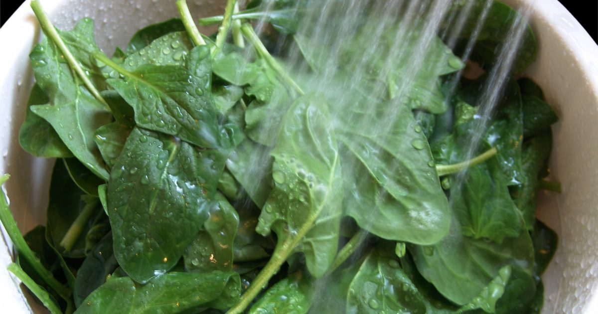 Slik vasker du fersk spinat