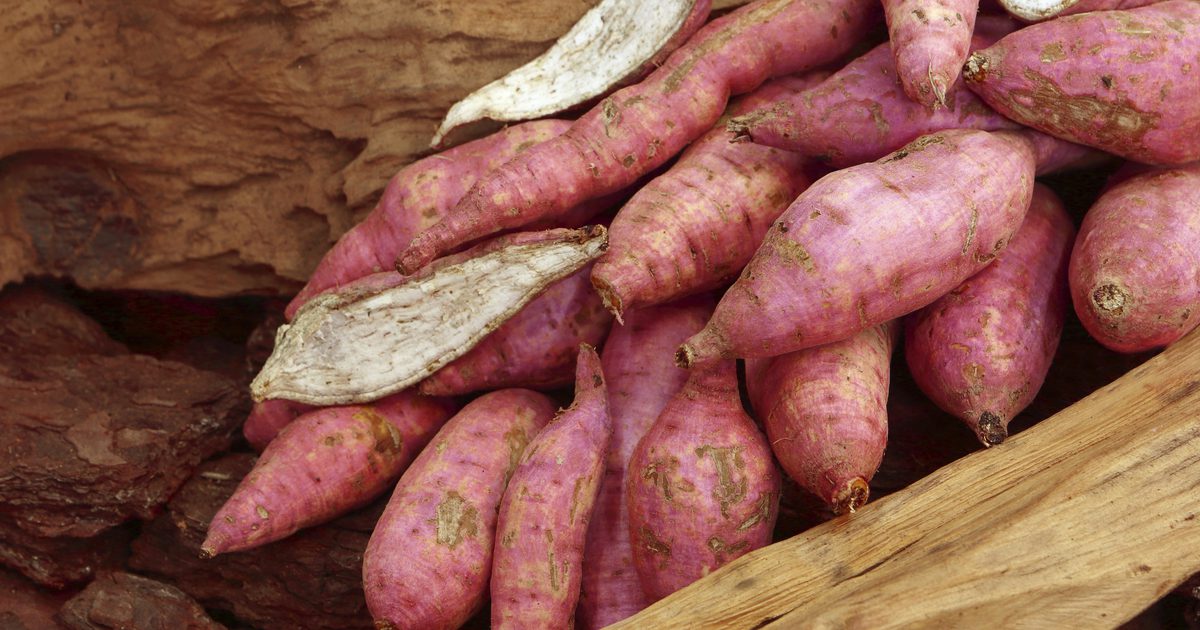 Er en kogt sød kartoffel god til en kost?