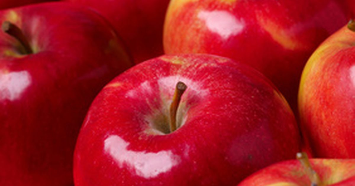 Är Braggs rå äppelcidervinäger bra för systemisk Candida?