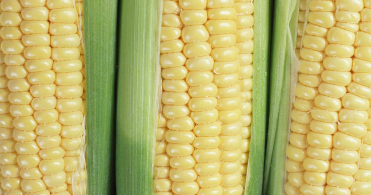Je kukuřice zdravé jídlo?