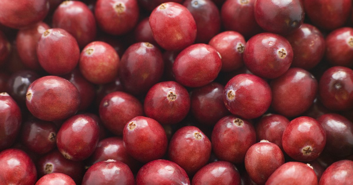 Is cranberrysap goed voor je nieren?