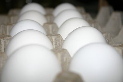 Ist Ei ein Brain Food?