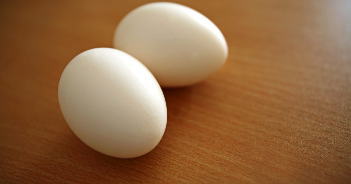 Er det sundt at spise to æg om dagen?