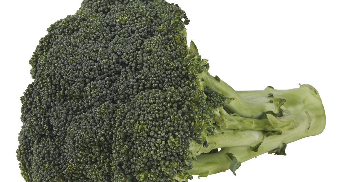 Er der Fiber i Broccoli Stængler?