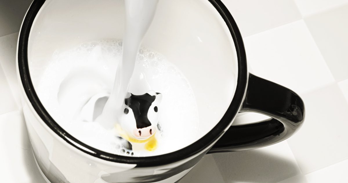 Er det mer laktose i varm melk enn kald?