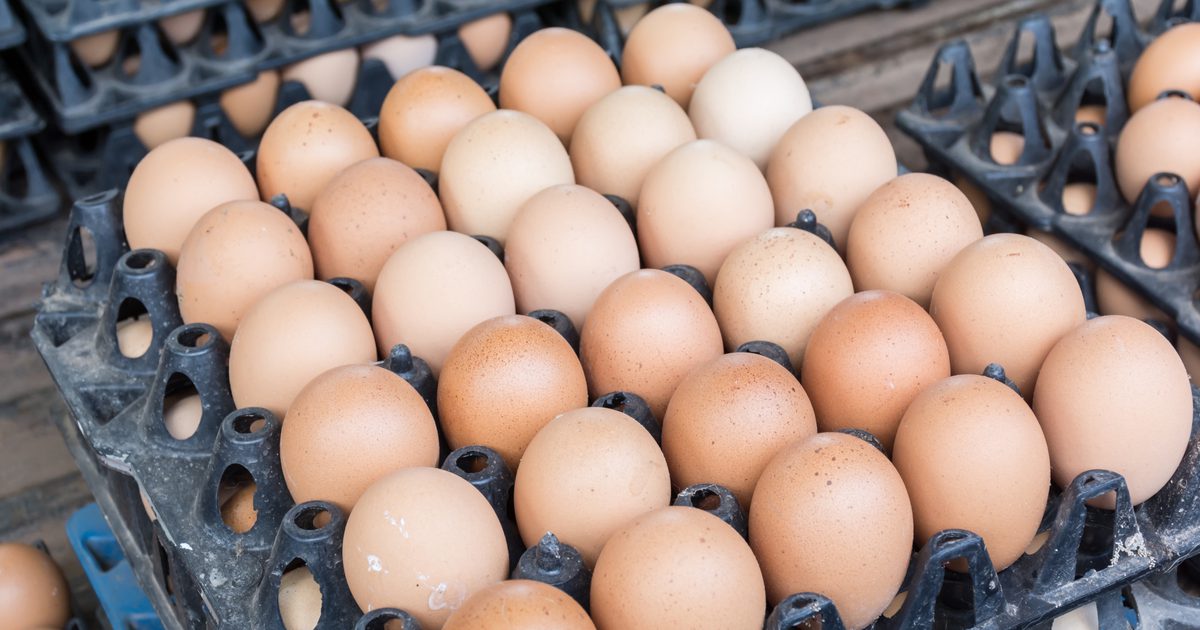 هل فيتامين ك في البيض؟