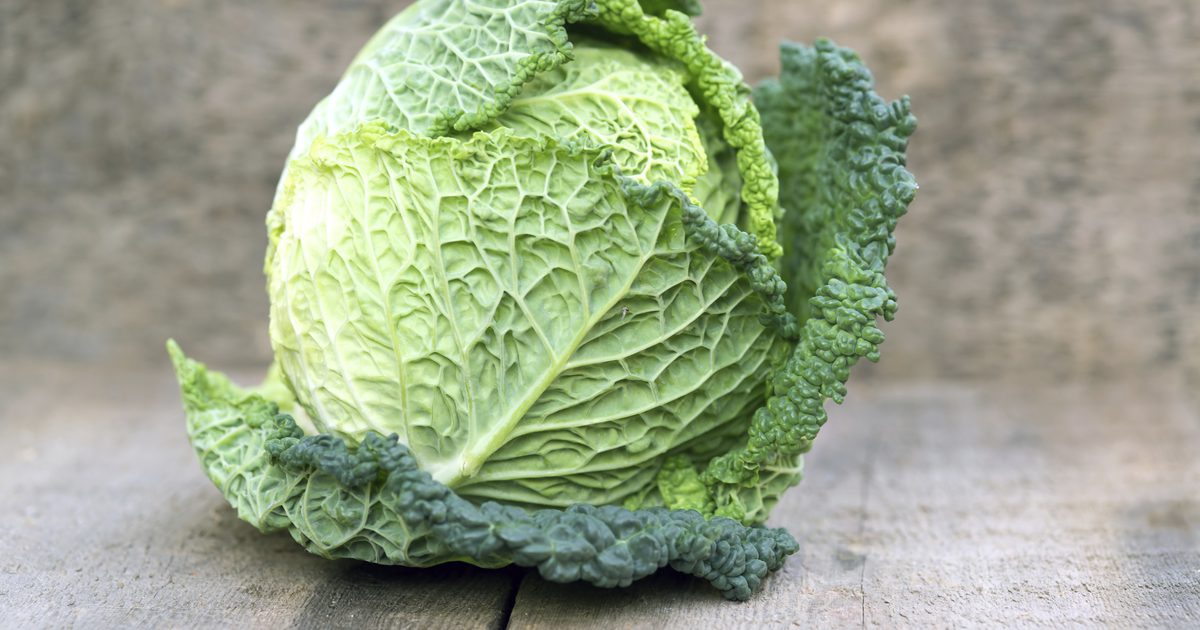 Nutrition in Cabbage Vs. Solata