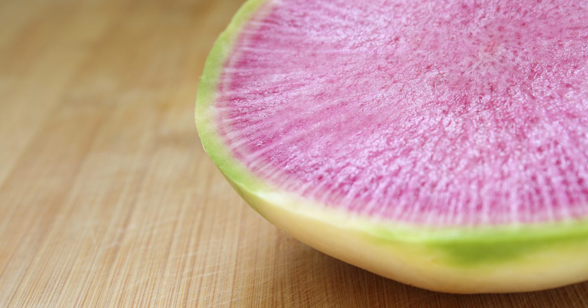 De voeding in een watermeloen-radijs