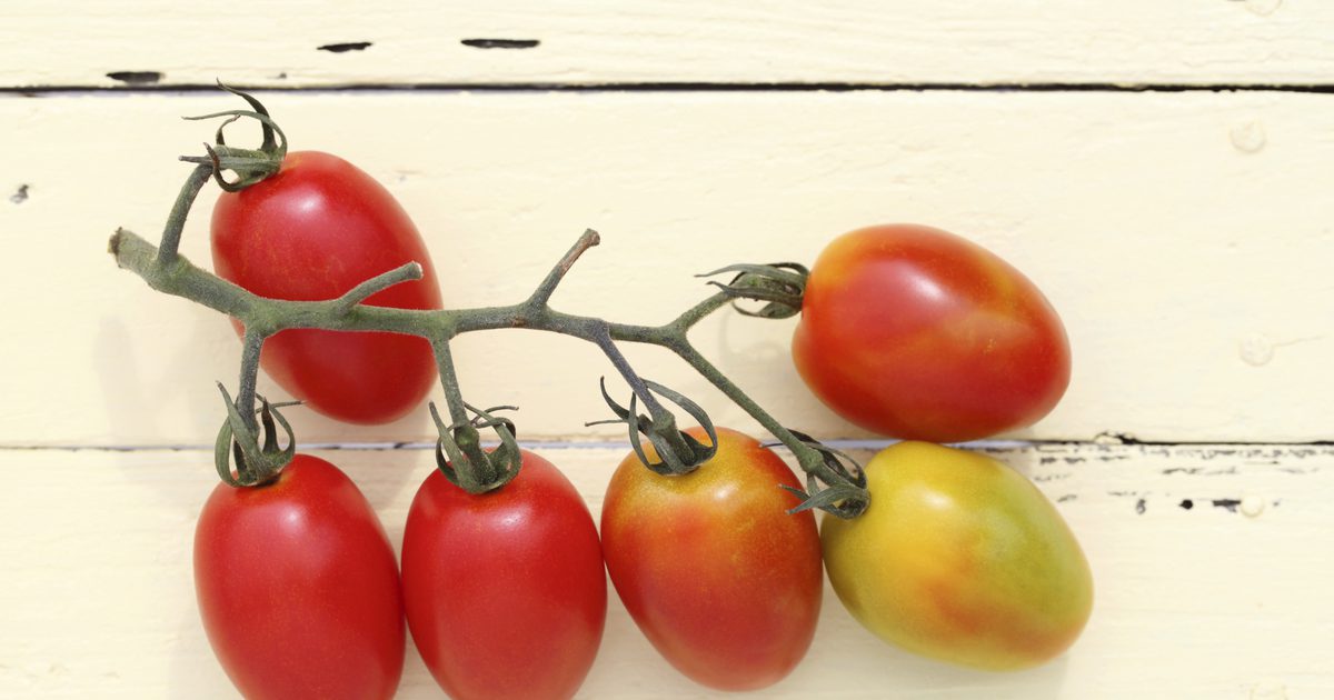 Podatki o hranilni vrednosti za paradižnik iz grozdja