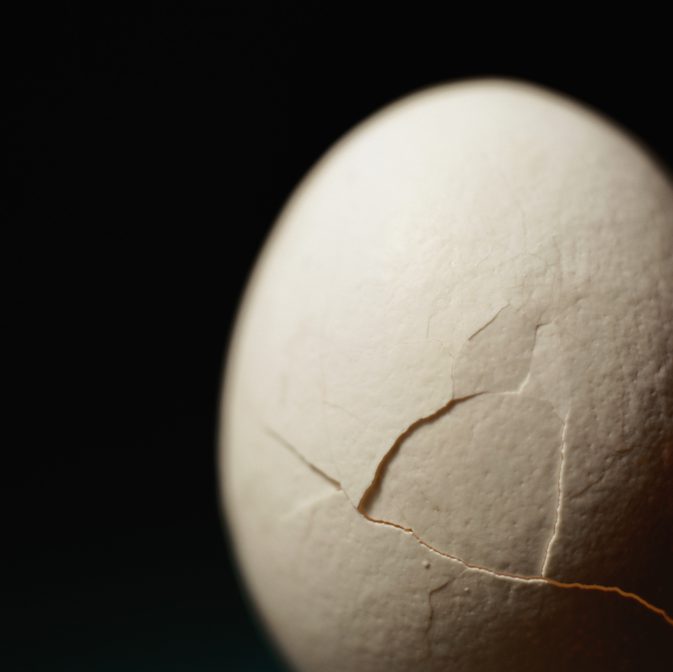 Хранителна стойност на твърдо сварени яйца Уайтс срещу Цели яйца