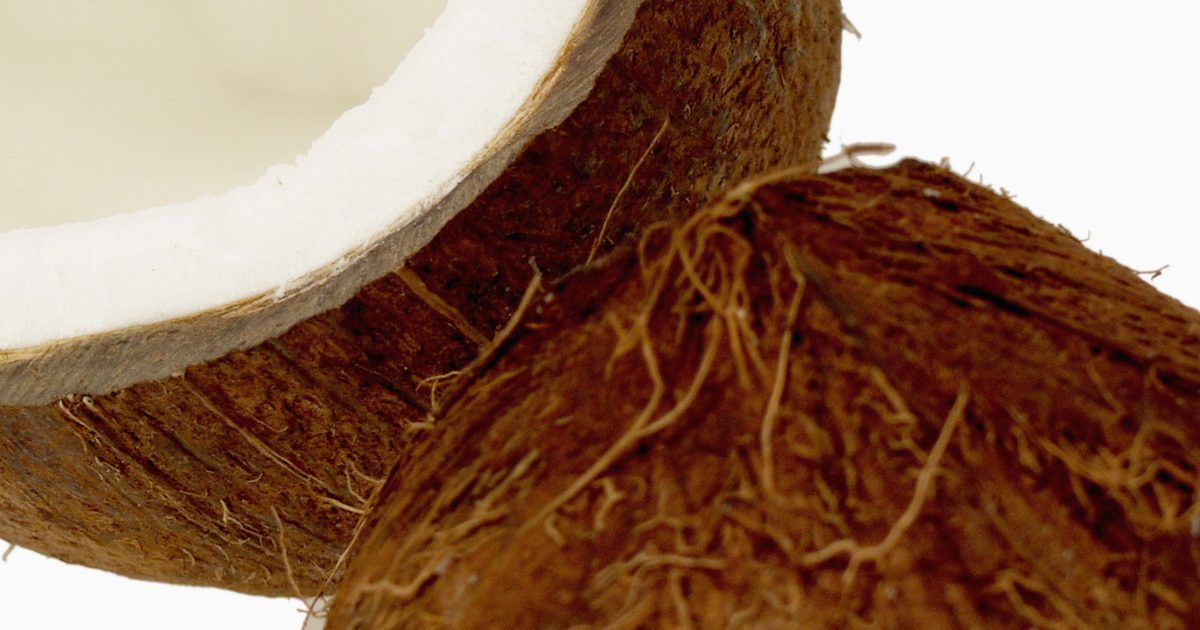 Nährstoffgehalt der frischen Kokosnuss