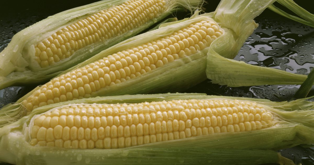 Ernæringsmæssigt indhold af en mellemstore majs på cob