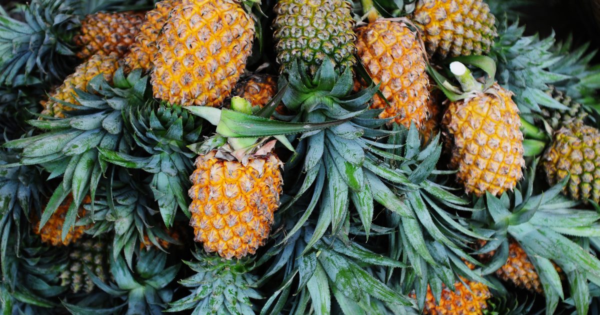 Ernæringsforskellen mellem dåse og frisk ananas