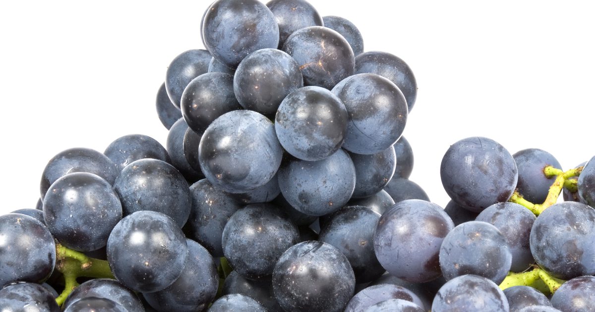 Voedingswaarde feiten over Concord-druiven
