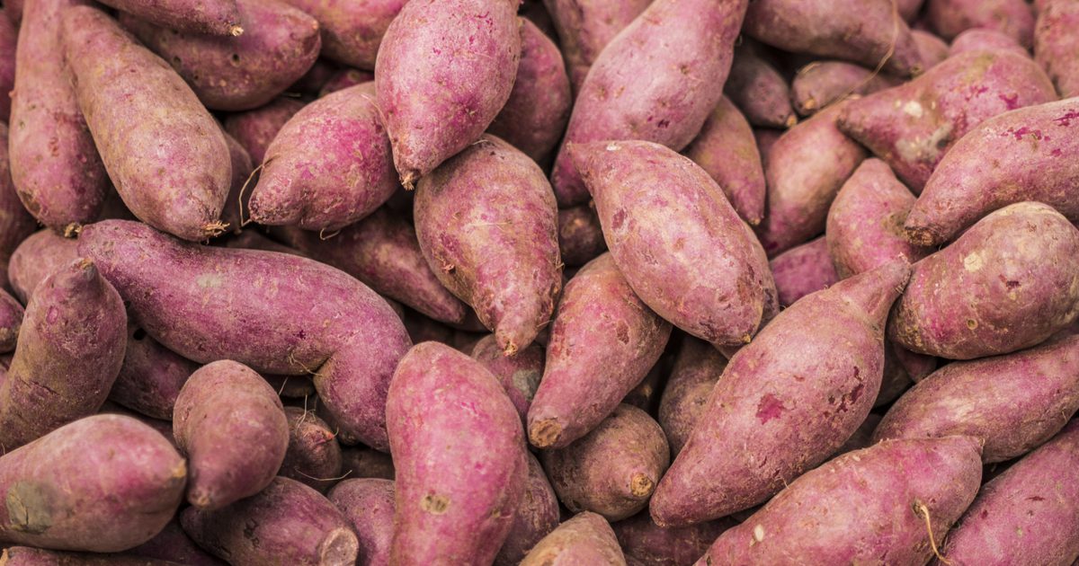Voedingswaarde voor een Oosterse zoete aardappel
