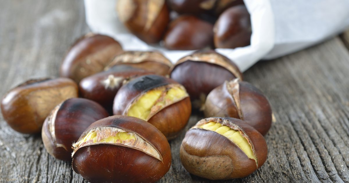 Ernährungs Fakten über geröstete Kastanien