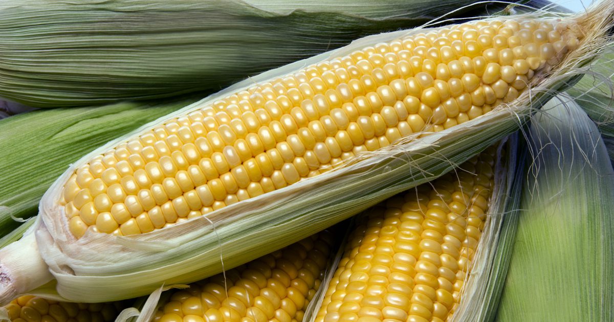 Nutričné ​​informácie o masovej múke vs. celá kukurica