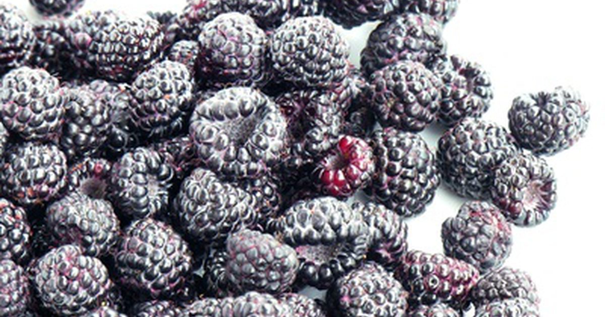 Ernæringsverdien av Black Raspberries
